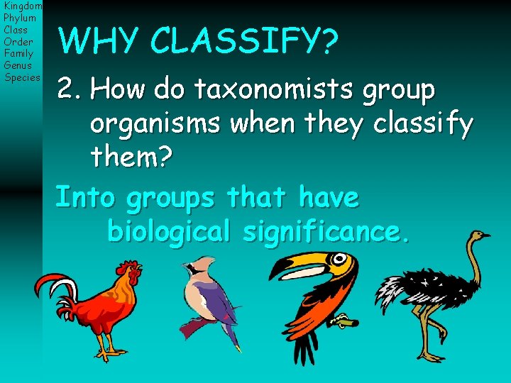 Kingdom Phylum Class Order Family Genus Species WHY CLASSIFY? 2. How do taxonomists group