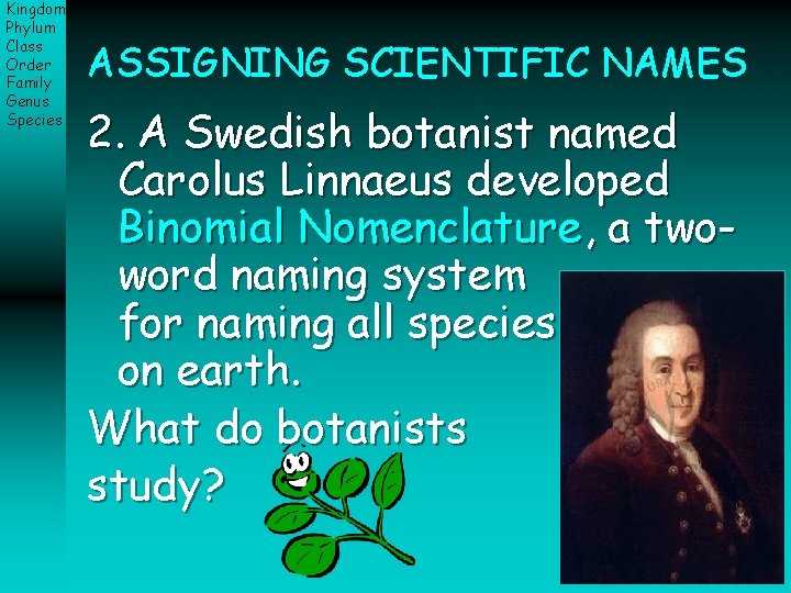 Kingdom Phylum Class Order Family Genus Species ASSIGNING SCIENTIFIC NAMES 2. A Swedish botanist