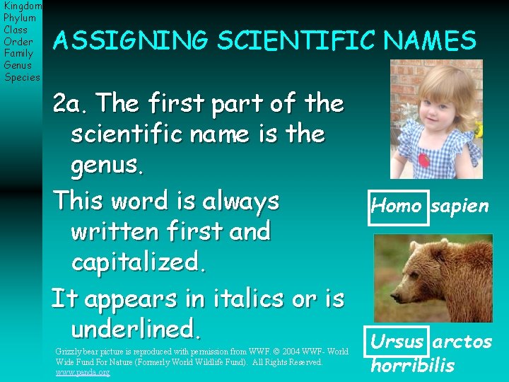 Kingdom Phylum Class Order Family Genus Species ASSIGNING SCIENTIFIC NAMES 2 a. The first