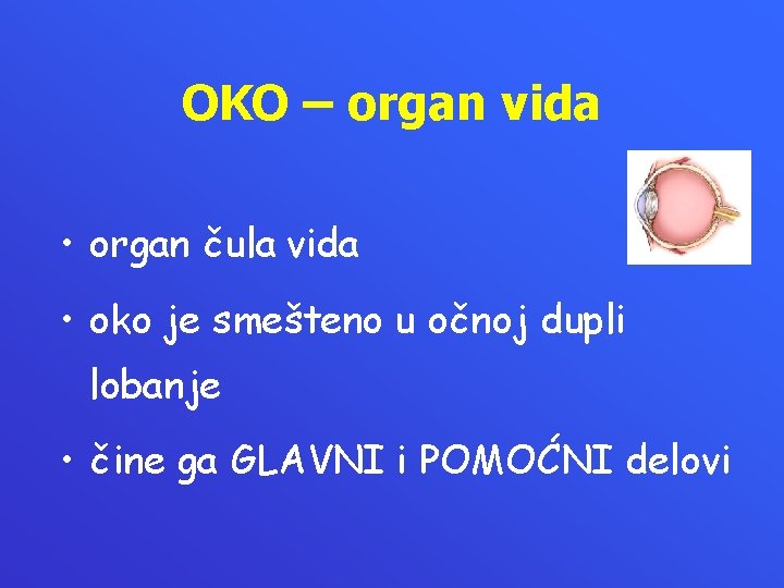 OKO – organ vida • organ čula vida • oko je smešteno u očnoj