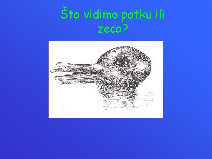 Šta vidimo patku ili zeca? 