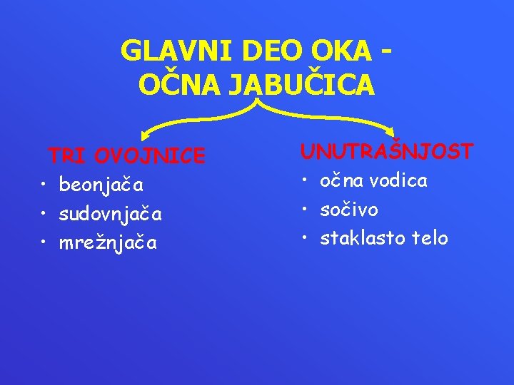 GLAVNI DEO OKA OČNA JABUČICA TRI OVOJNICE • beonjača • sudovnjača • mrežnjača UNUTRAŠNJOST