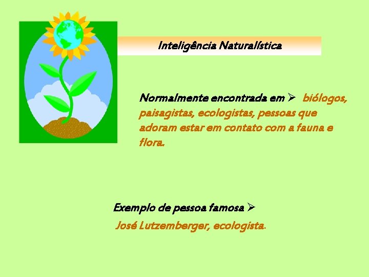 Inteligência Naturalística Normalmente encontrada em biólogos, paisagistas, ecologistas, pessoas que adoram estar em contato
