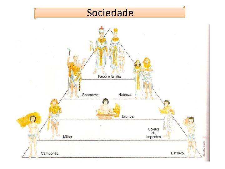 Sociedade 