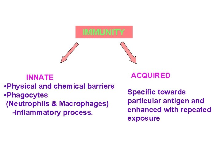 IMMUNITY INNATE • Physical and chemical barriers • Phagocytes (Neutrophils & Macrophages) -Inflammatory process.