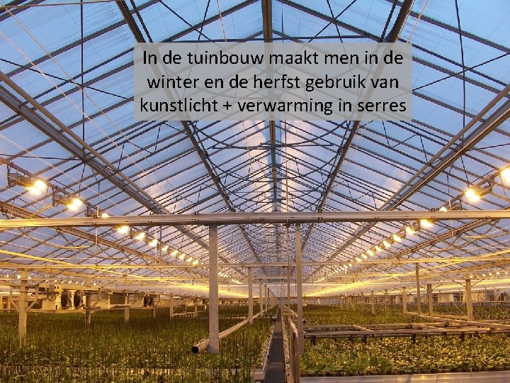 In de tuinbouw maakt men in de winter en de herfst gebruik van kunstlicht