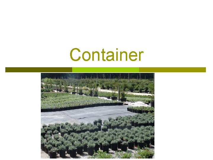 Container 