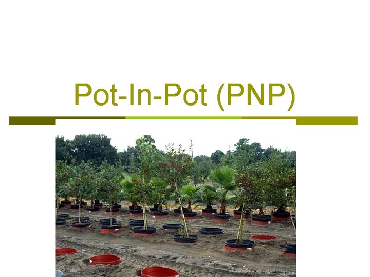 Pot-In-Pot (PNP) 