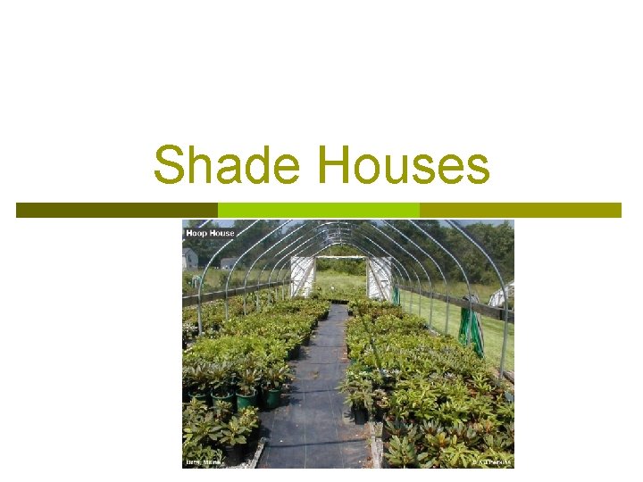 Shade Houses 