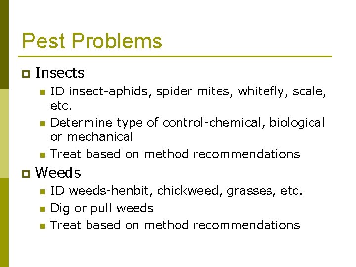 Pest Problems p Insects n n n p ID insect-aphids, spider mites, whitefly, scale,