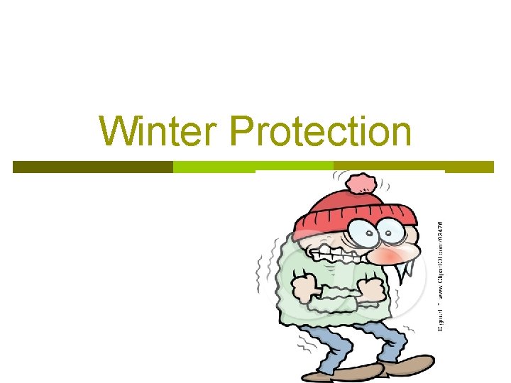 Winter Protection 