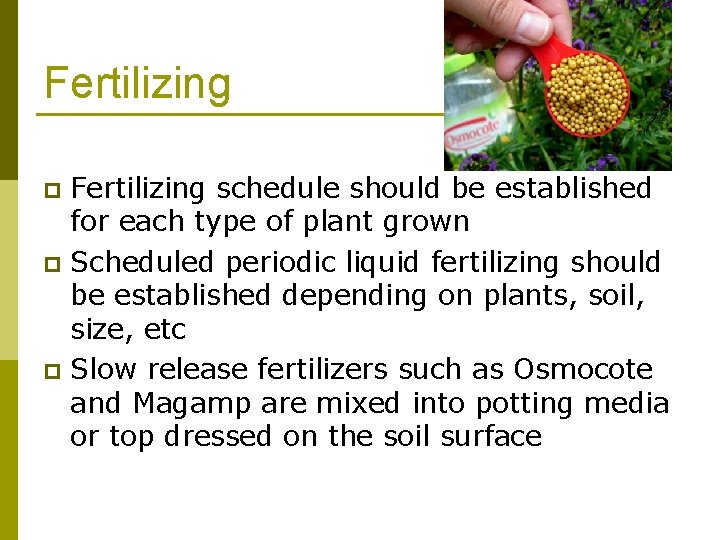 Fertilizing schedule should be established for each type of plant grown p Scheduled periodic