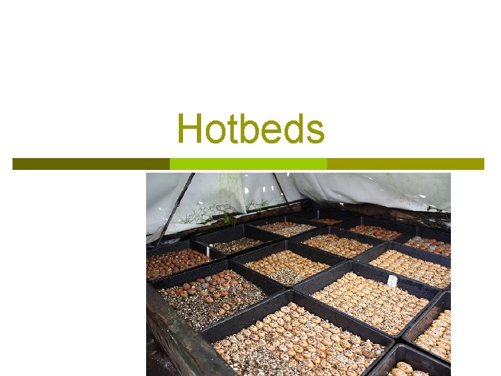 Hotbeds 