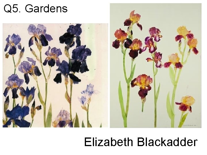 Q 5. Gardens Elizabeth Blackadder 