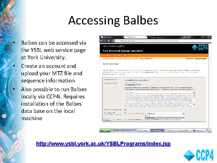 Accessing Balbes • Balbes can be accessed via the YSBL web service page at