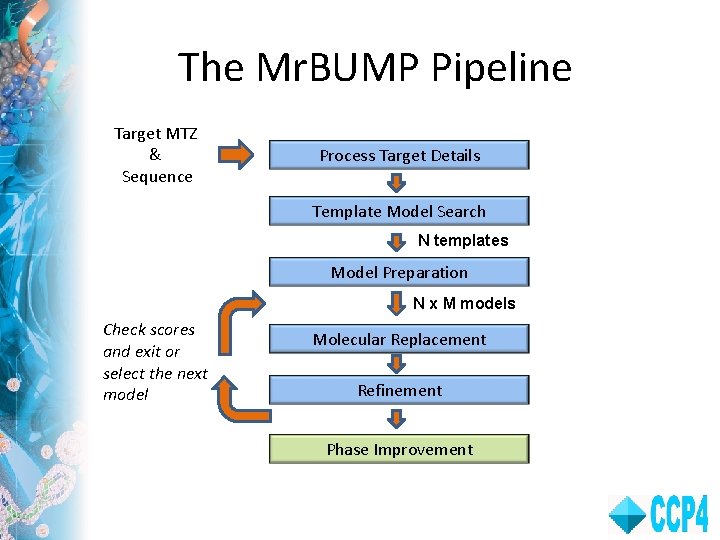 The Mr. BUMP Pipeline Target MTZ & Sequence Process Target Details Template Model Search