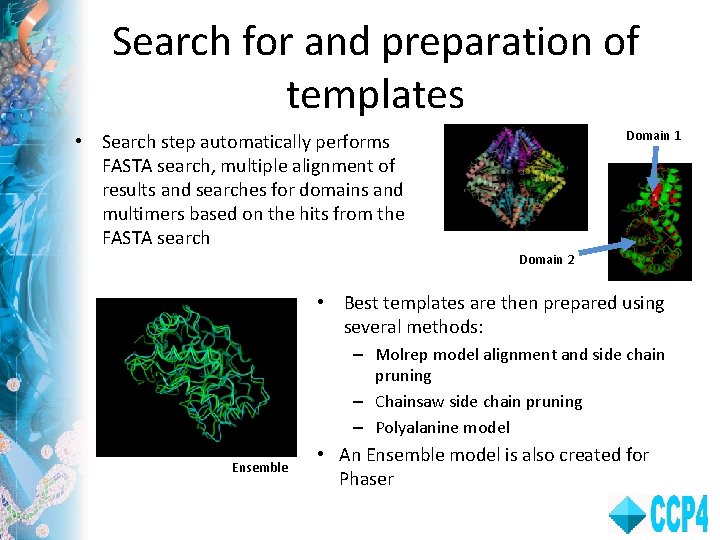 Search for and preparation of templates Domain 1 • Search step automatically performs FASTA