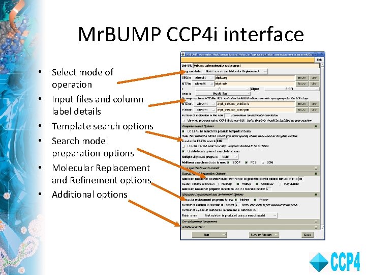 Mr. BUMP CCP 4 i interface • Select mode of operation • Input files