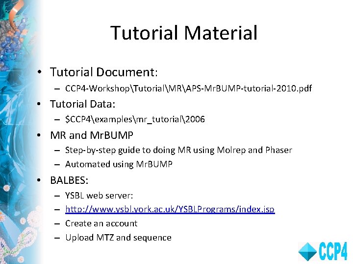 Tutorial Material • Tutorial Document: – CCP 4 -WorkshopTutorialMRAPS-Mr. BUMP-tutorial-2010. pdf • Tutorial Data: