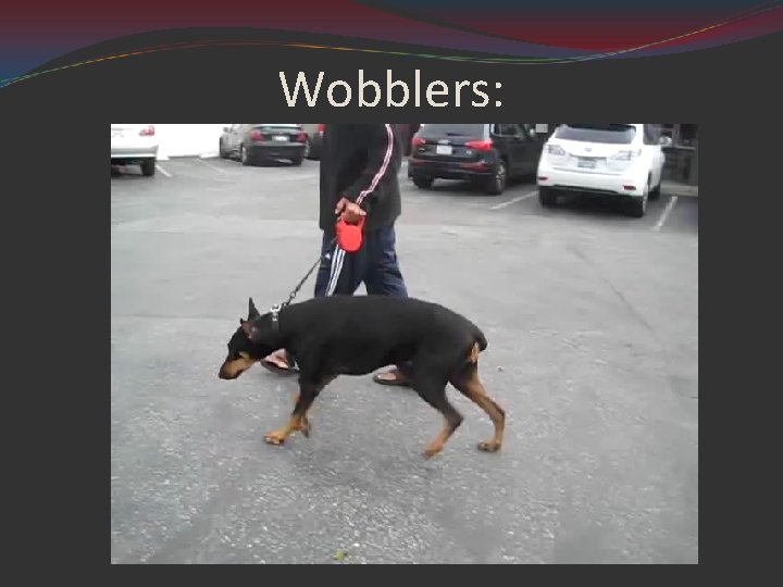 Wobblers: 