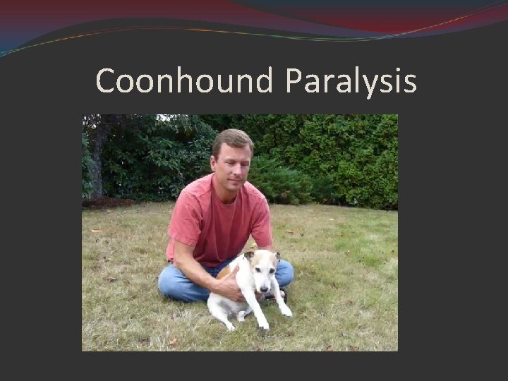 Coonhound Paralysis 