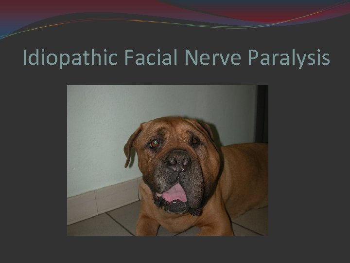 Idiopathic Facial Nerve Paralysis 