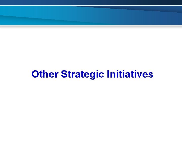 Other Strategic Initiatives 