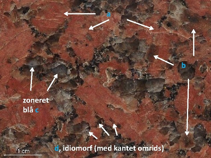 a b zoneret blå c d, idiomorf (med kantet omrids) 
