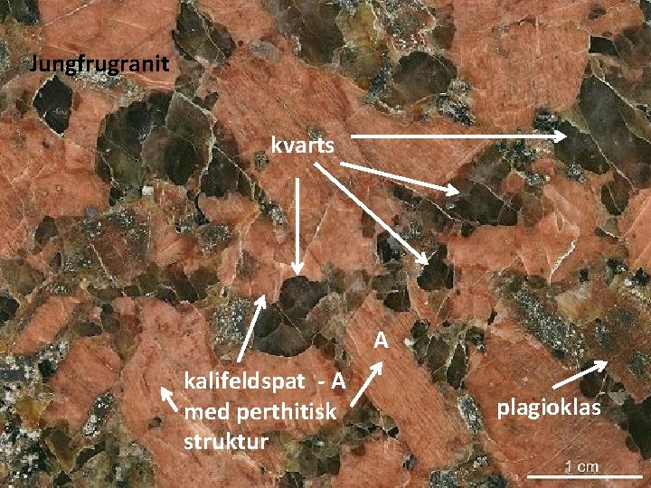 Jungfrugranit kvarts A kalifeldspat - A med perthitisk struktur plagioklas 