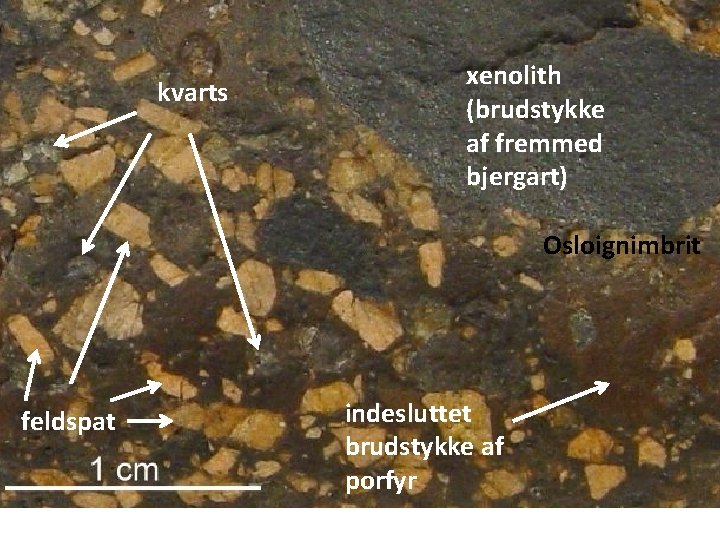 kvarts xenolith (brudstykke af fremmed bjergart) Osloignimbrit feldspat indesluttet brudstykke af porfyr 