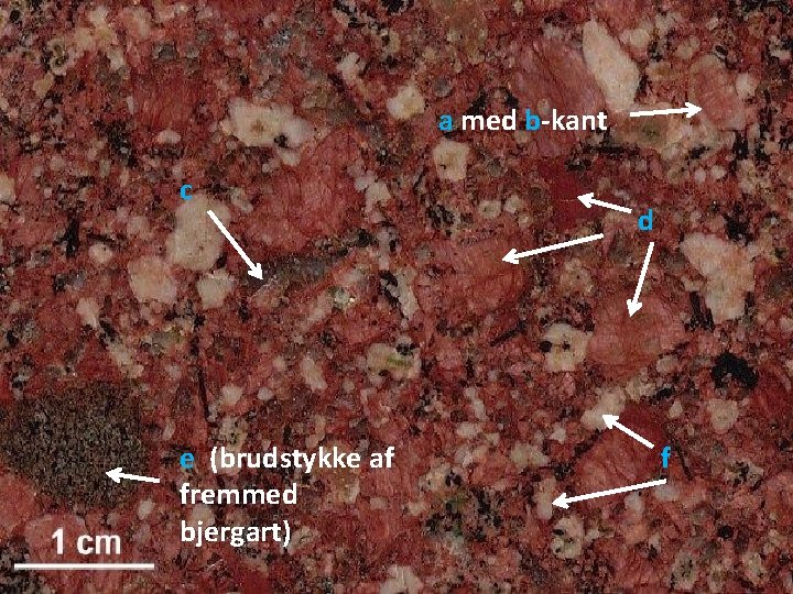 a med b-kant c e (brudstykke af fremmed bjergart) d f 