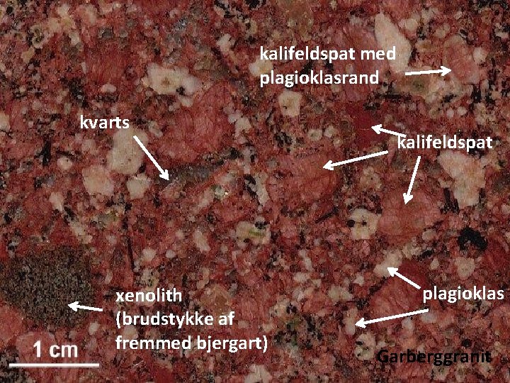 kalifeldspat med plagioklasrand kvarts xenolith (brudstykke af fremmed bjergart) kalifeldspat plagioklas Garberggranit 