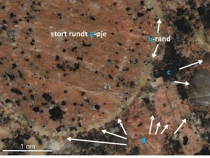 stort rundt a-øje b-rand c d 