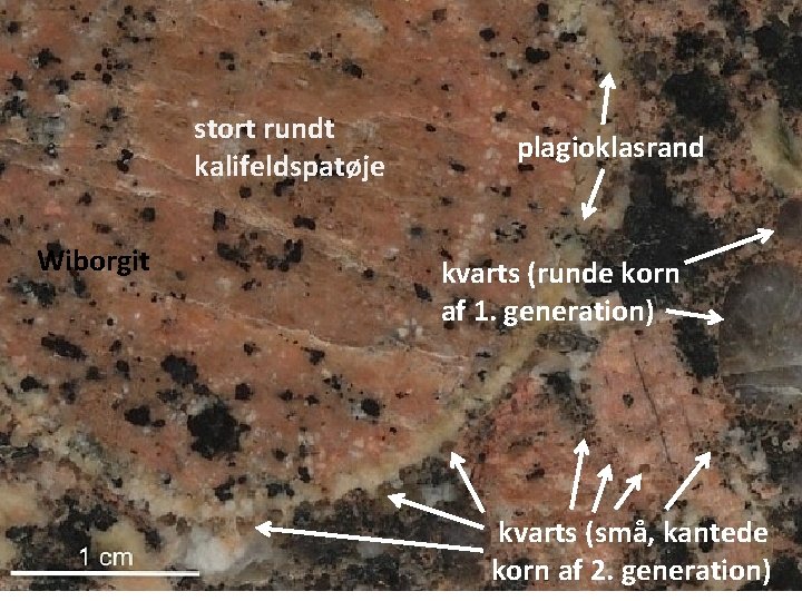 stort rundt kalifeldspatøje Wiborgit plagioklasrand kvarts (runde korn af 1. generation) kvarts (små, kantede