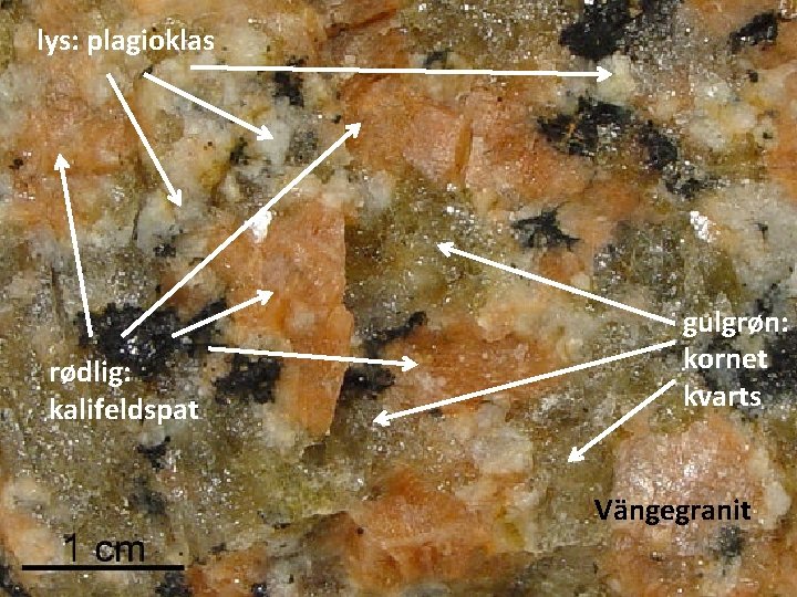lys: plagioklas rødlig: kalifeldspat gulgrøn: kornet kvarts Vängegranit 