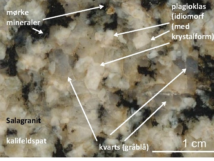 plagioklas (idiomorf (med krystalform) mørke mineraler Salagranit kalifeldspat kvarts (gråblå) 