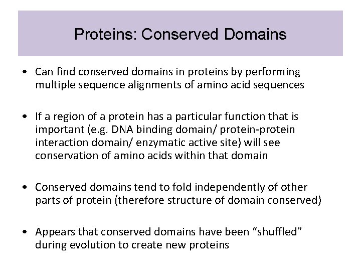 Proteins: Conserved Domains • Can find conserved domains in proteins by performing multiple sequence