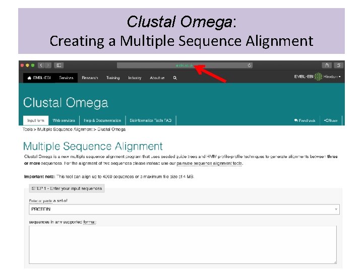 Clustal Omega: Creating a Multiple Sequence Alignment 