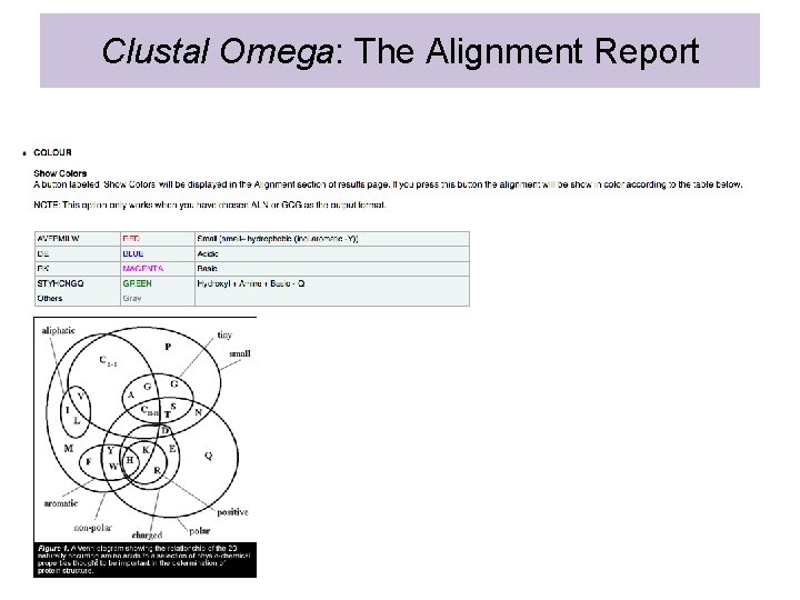 Clustal Omega: The Alignment Report 