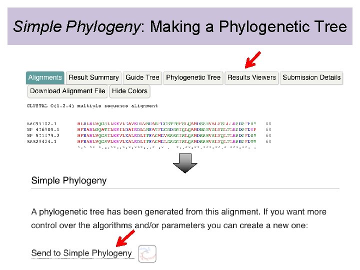 Simple Phylogeny: Making a Phylogenetic Tree 