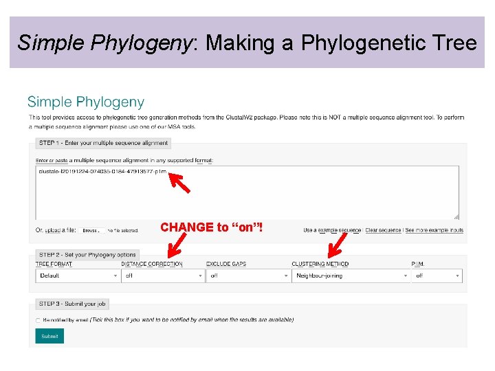 Simple Phylogeny: Making a Phylogenetic Tree CHANGE to “on”! 