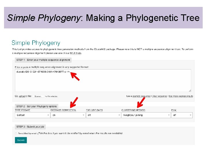 Simple Phylogeny: Making a Phylogenetic Tree 