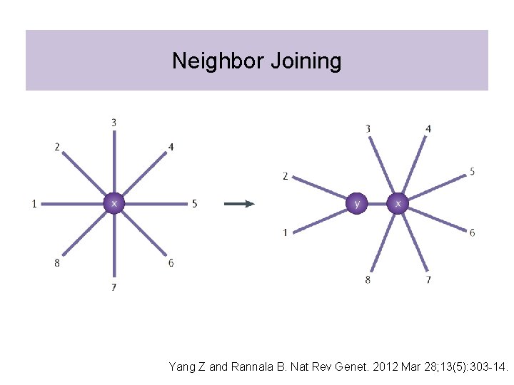 Neighbor Joining Yang Z and Rannala B. Nat Rev Genet. 2012 Mar 28; 13(5):