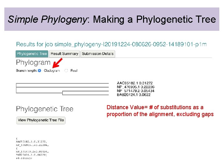 Simple Phylogeny: Making a Phylogenetic Tree Distance Value= # of substitutions as a proportion