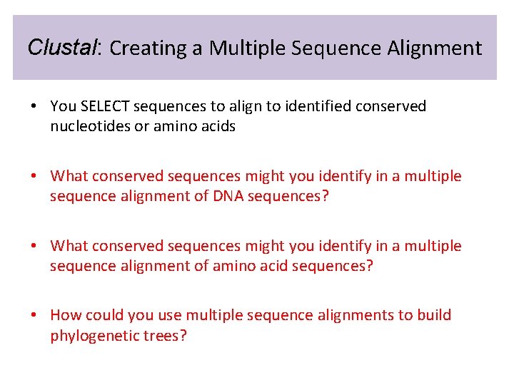 Clustal: Creating a Multiple Sequence Alignment • You SELECT sequences to align to identified