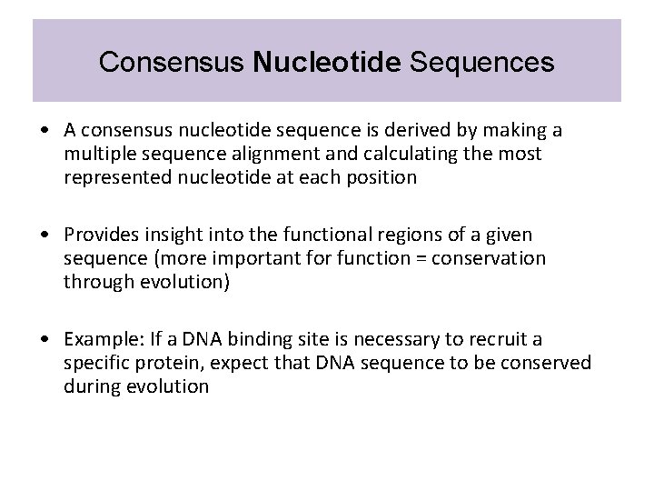 Consensus Nucleotide Sequences • A consensus nucleotide sequence is derived by making a multiple