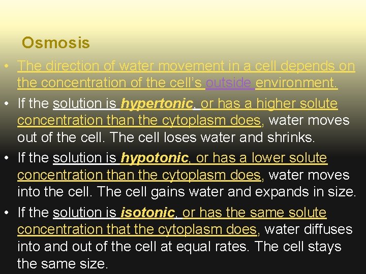 Osmosis • The direction of water movement in a cell depends on the concentration