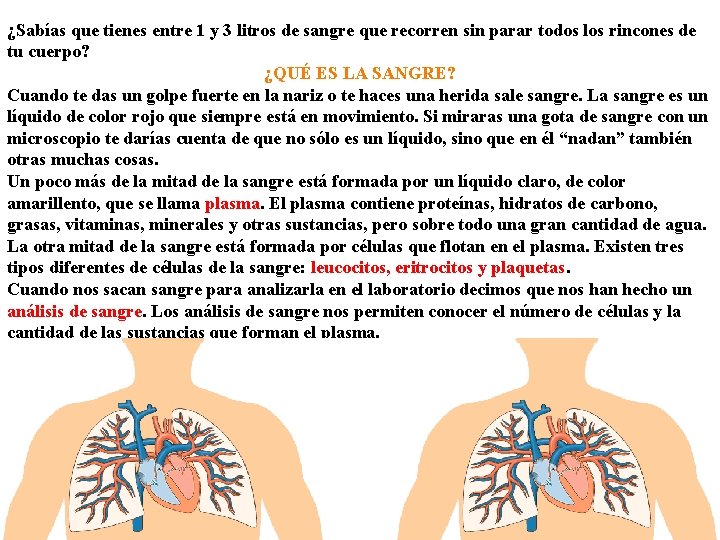 ¿Sabías que tienes entre 1 y 3 litros de sangre que recorren sin parar