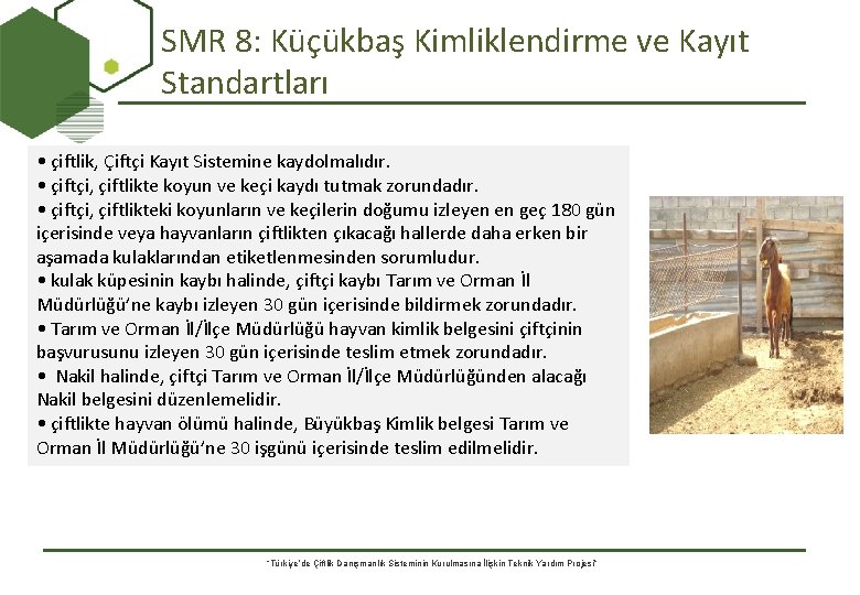 SMR 8: Küçükbaş Kimliklendirme ve Kayıt Standartları • çiftlik, Çiftçi Kayıt Sistemine kaydolmalıdır. •