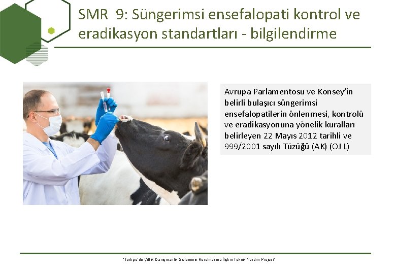 SMR 9: Süngerimsi ensefalopati kontrol ve eradikasyon standartları - bilgilendirme Avrupa Parlamentosu ve Konsey’in